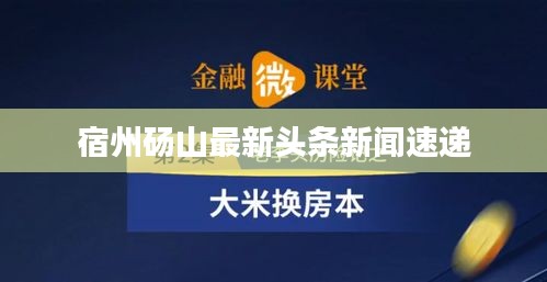 宿州砀山最新头条新闻速递