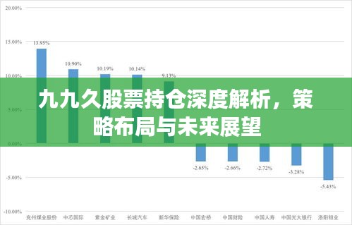 九九久股票持仓深度解析，策略布局与未来展望