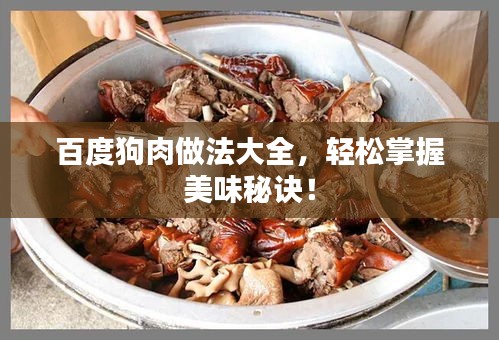 百度狗肉做法大全，轻松掌握美味秘诀！