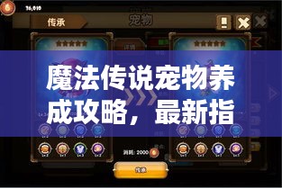 魔法传说宠物养成攻略，最新指南助你成为宠物大师！