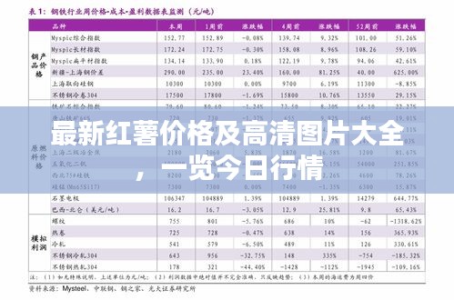 最新红薯价格及高清图片大全，一览今日行情