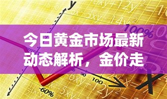 今日黄金市场最新动态解析，金价走势及市场趋势深度解读