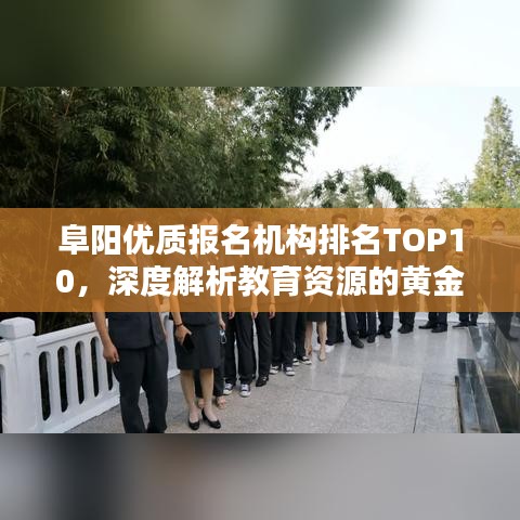 阜阳优质报名机构排名TOP10，深度解析教育资源的黄金分布地！