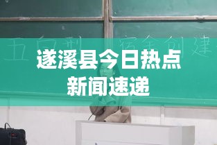 遂溪县今日热点新闻速递