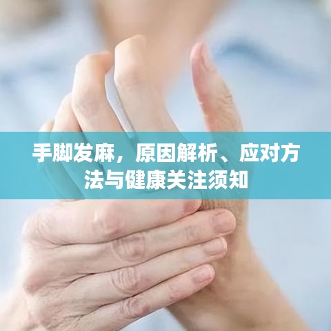 手脚发麻，原因解析、应对方法与健康关注须知