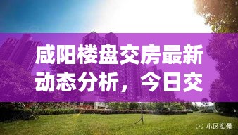 咸阳楼盘交房最新动态分析，今日交付情况全面解读