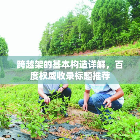 跨越架的基本构造详解，百度权威收录标题推荐