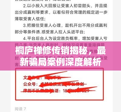 桐庐禅修传销揭秘，最新骗局案例深度解析