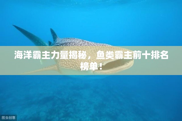 海洋霸主力量揭秘，鱼类霸主前十排名榜单！