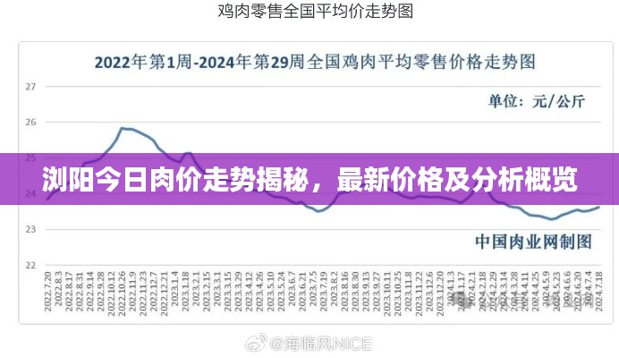 浏阳今日肉价走势揭秘，最新价格及分析概览