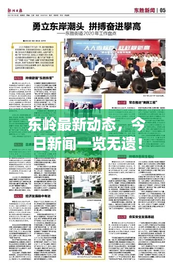 东岭最新动态，今日新闻一览无遗！