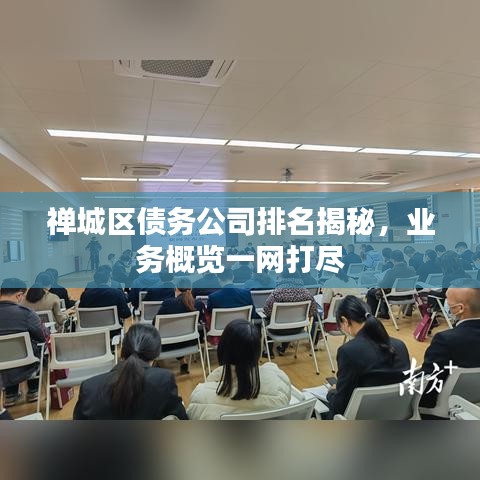 禅城区债务公司排名揭秘，业务概览一网打尽