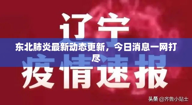 东北肺炎最新动态更新，今日消息一网打尽