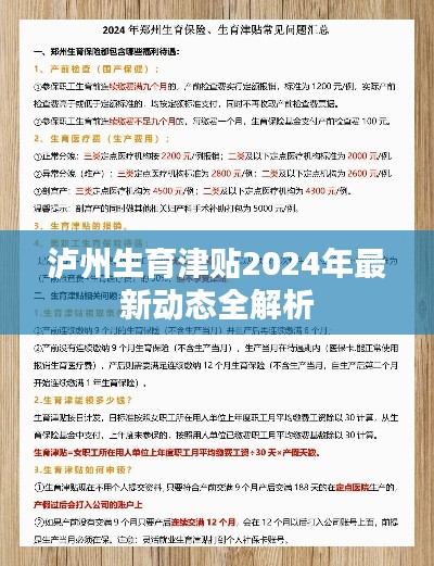 泸州生育津贴2024年最新动态全解析