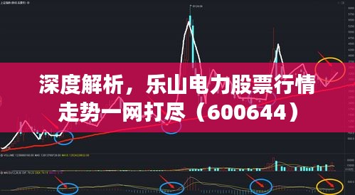 深度解析，乐山电力股票行情走势一网打尽（600644）