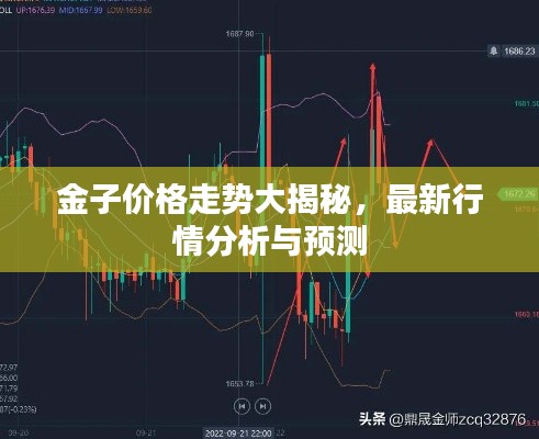 金子价格走势大揭秘，最新行情分析与预测