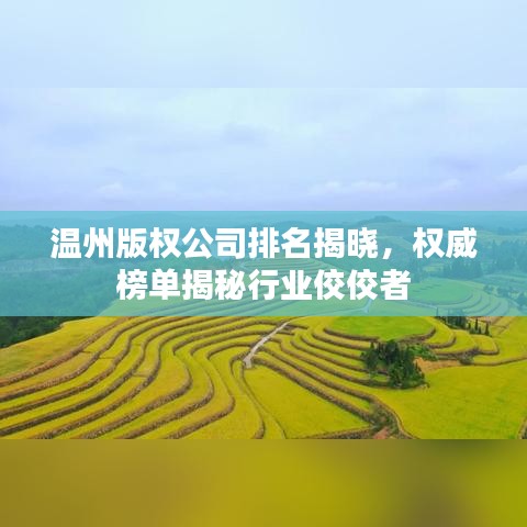 温州版权公司排名揭晓，权威榜单揭秘行业佼佼者