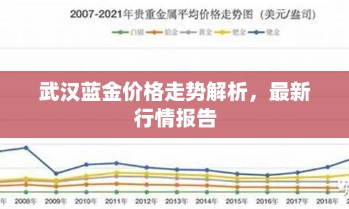 武汉蓝金价格走势解析，最新行情报告