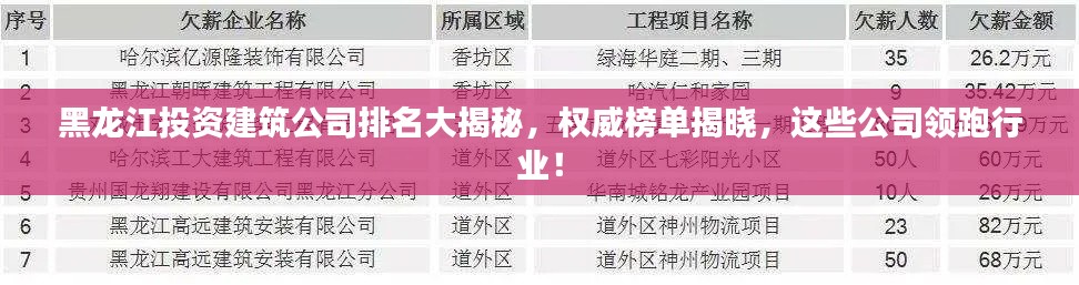 黑龙江投资建筑公司排名大揭秘，权威榜单揭晓，这些公司领跑行业！