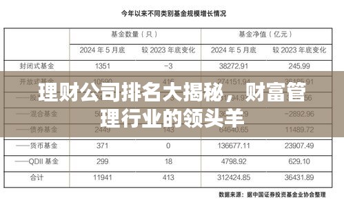 理财公司排名大揭秘，财富管理行业的领头羊