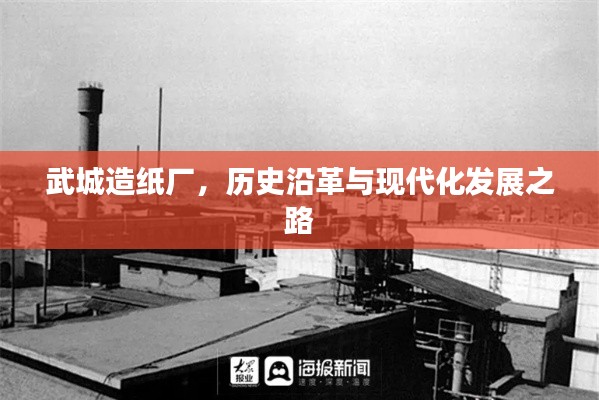 武城造纸厂，历史沿革与现代化发展之路