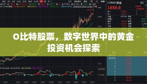 O比特股票，数字世界中的黄金投资机会探索