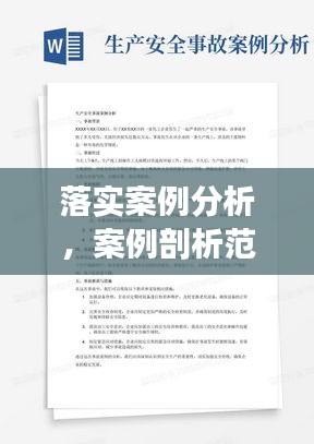 落实案例分析，案例剖析范文 