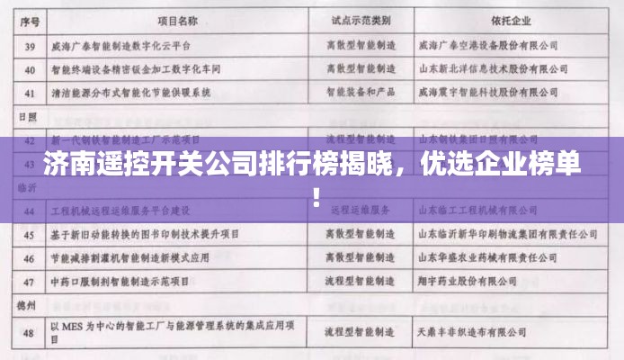 济南遥控开关公司排行榜揭晓，优选企业榜单！