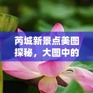 芮城新景点美图探秘，大图中的绝美风光大全