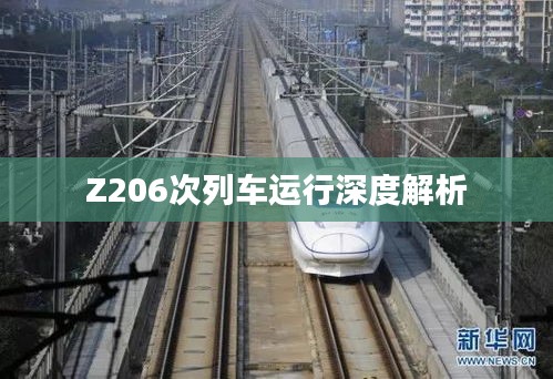 Z206次列车运行深度解析