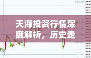 天海投资行情深度解析，历史走势揭示未来趋势