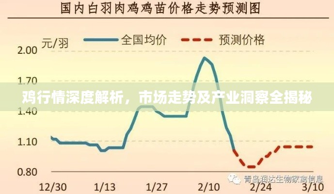 鸡行情深度解析，市场走势及产业洞察全揭秘