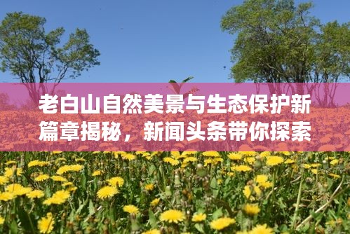 老白山自然美景与生态保护新篇章揭秘，新闻头条带你探索生态之旅