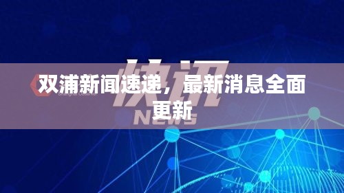 双浦新闻速递，最新消息全面更新