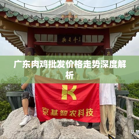 广东肉鸡批发价格走势深度解析