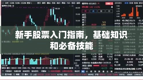 新手股票入门指南，基础知识和必备技能