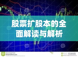 股票扩股本的全面解读与解析