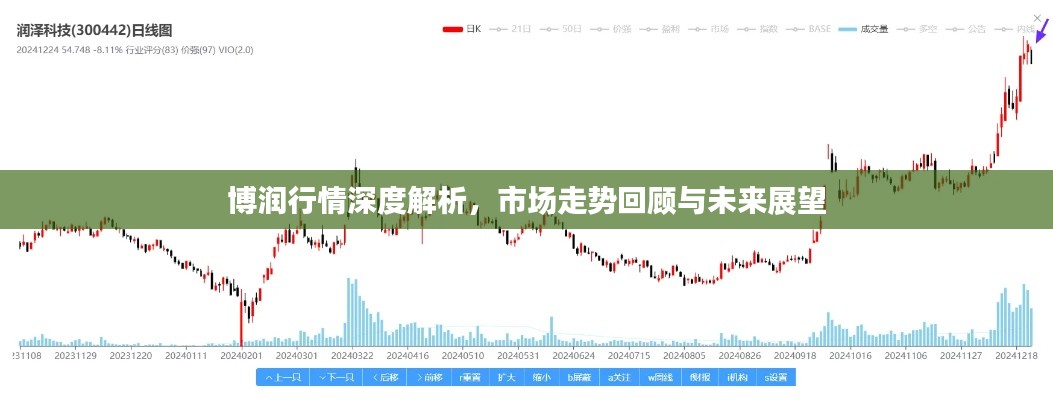 博润行情深度解析，市场走势回顾与未来展望