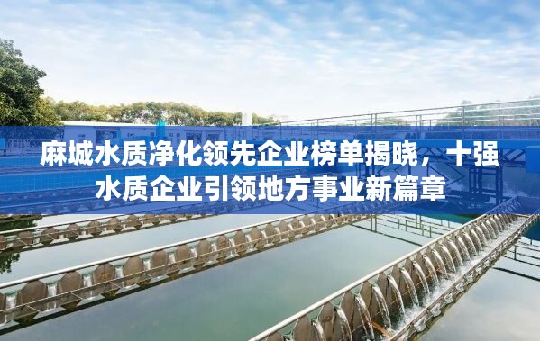 麻城水质净化领先企业榜单揭晓，十强水质企业引领地方事业新篇章