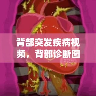 背部突发疾病视频，背部诊断图 