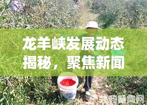 龙羊峡发展动态揭秘，聚焦新闻头条，洞悉新动向