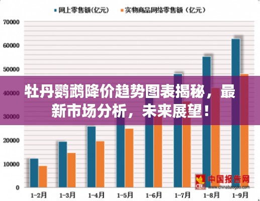 牡丹鹦鹉降价趋势图表揭秘，最新市场分析，未来展望！