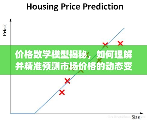 价格数学模型揭秘，如何理解并精准预测市场价格的动态变化？