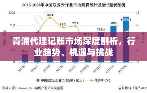 青浦代理记账市场深度剖析，行业趋势、机遇与挑战