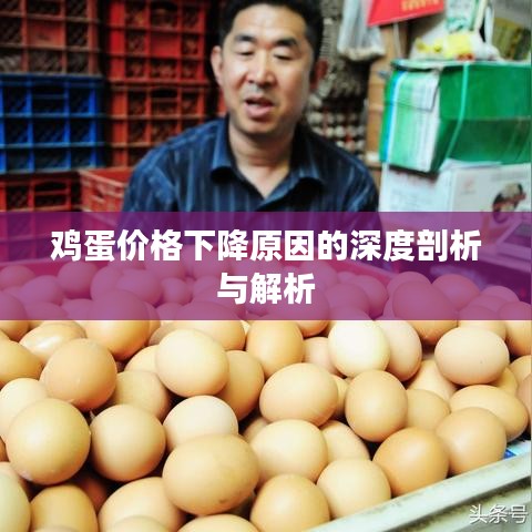 鸡蛋价格下降原因的深度剖析与解析