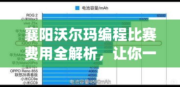 襄阳沃尔玛编程比赛费用全解析，让你一目了然！