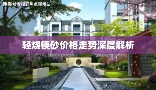 轻烧镁砂价格走势深度解析