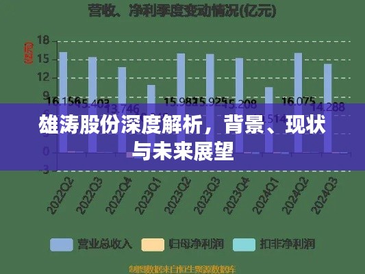 雄涛股份深度解析，背景、现状与未来展望