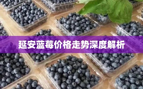 延安蓝莓价格走势深度解析