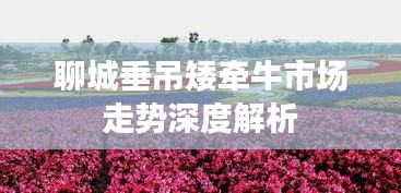 聊城垂吊矮牵牛市场走势深度解析